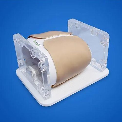 Testphantom für Computertomographie - PLHXNJ005 - Shanghai Preclinic Medtech - Thorax / Lungen