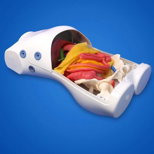Simulator für Laparoskopie - PLPWQJ002A - Shanghai Preclinic Medtech - für die Ausbildung / Ausbildung / für Roboterchirurgie