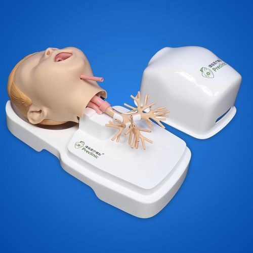 Trainingspuppe für pädiatrische Betreuung - PLHX1005-B - Shanghai Preclinic Medtech - Bronchiale Endoskopie / für Vorführzwecke / Atemwegsmanagement