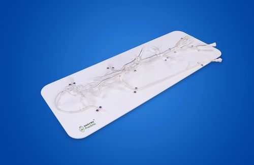 Gehirn-Gefäßmodell - PLSJXG001C - Shanghai Preclinic Medtech - Gehirn / Intrakranieller / Circulus arteriosus Willisii