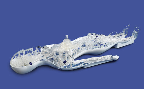 Herzgefäßmodell - PLZHXG001 - Shanghai Preclinic Medtech - Ganzkörper / Blutkreislaufsystem / Arterie