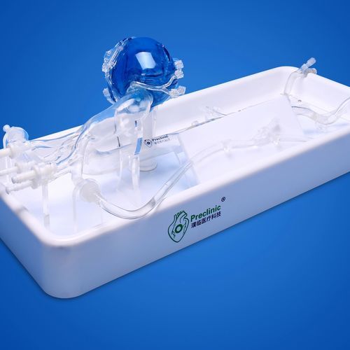 Koronararterien-Gefäßmodell - PLXZXG003 A - Shanghai Preclinic Medtech - Thoraxaorta / für Radialarterie / Arteria femoralis
