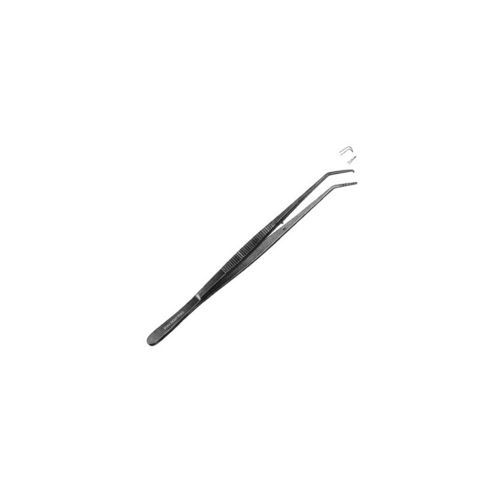 Dental-Zange - SI-3613 - Aadab International - von Goldman