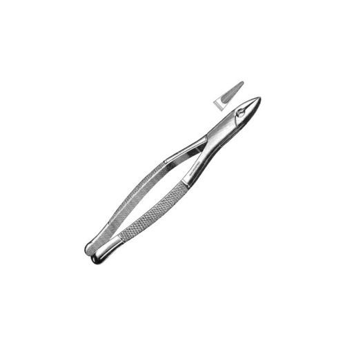 Dental-Klemme - SI-3192 - Aadab International - zur Entfernung