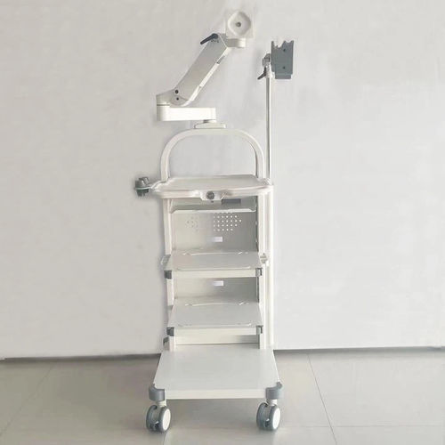 Medizinischer Wagen - Olympus  - QingDao Wealthy automation equipment co., Ltd - für Endoskope / für Transport