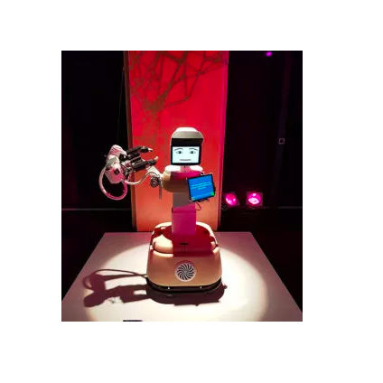 Pick-and-Place-Roboterarm - RAMCIP - ACCREA Engineering - Ernährung / bodenstehend