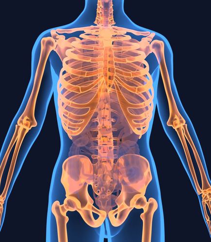 Software für Kliniken - DataArt GmbH - Planung / Ausbildung / für Ausbildung