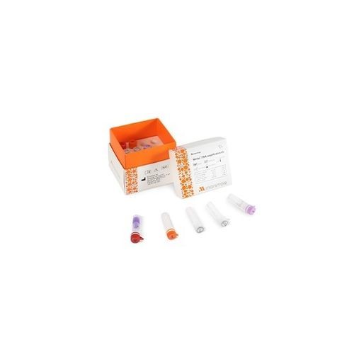 Reagenzkit / als Lösung - Mmiso® - M Monitor Inc. - zur Amplifikation von DNA