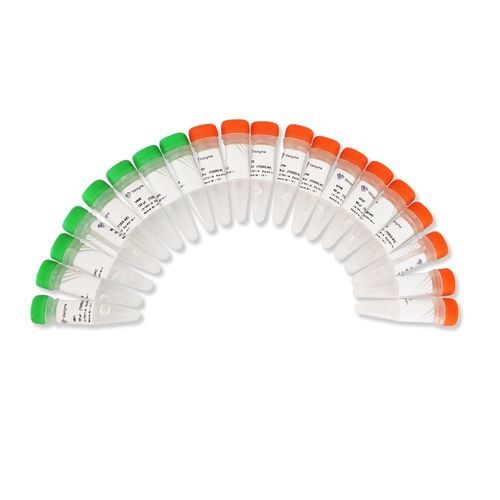 Reagenzkit / als Lösung - TruePrepTM - Nanjing Vazyme Medical Technology Co.,Ltd - für DNA-Sequenzierung
