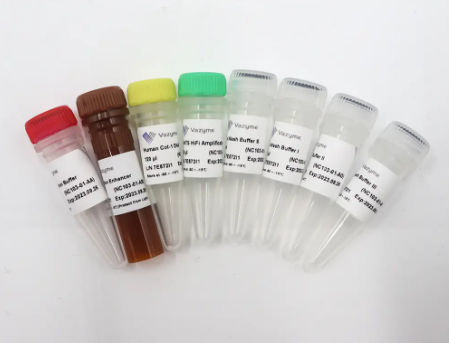 Reagenzkit / als Lösung - VAHTS - Nanjing Vazyme Medical Technology Co.,Ltd - für Hybridisierung / Reinigung