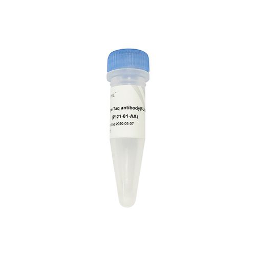 Monoklonaler Antikörper - P121 - Nanjing Vazyme Medical Technology Co.,Ltd - für Molekularbiologie