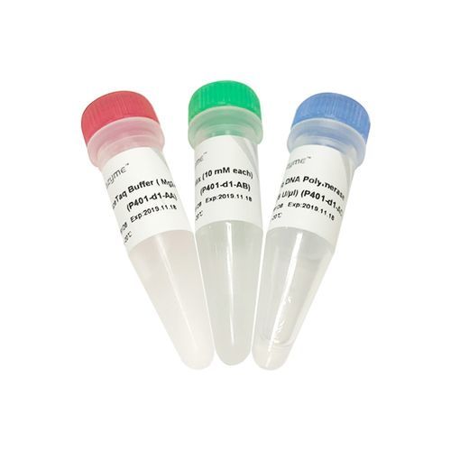 DNA-Polymerase-Reagenzkit - AceTaq® - Nanjing Vazyme Medical Technology Co.,Ltd - Taq-Polymerase / für Proben
