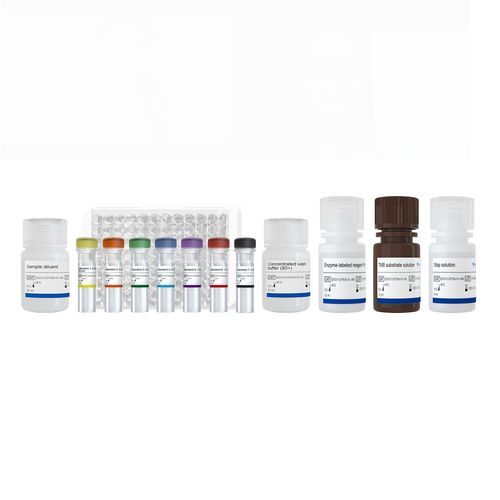 Testkit für die medizinische Forschung - RBD - Nanjing Vazyme Medical Technology Co.,Ltd - IgG / SARS-COV-2 / Coronavirus