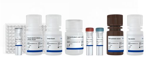Testkit für die medizinische Forschung - DD3208EN - Nanjing Vazyme Medical Technology Co.,Ltd - IgG / Coronavirus / Serum