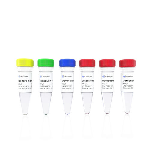 COVID-19-Testkit - Nanjing Vazyme Medical Technology Co.,Ltd - Coronavirus / für RT-qPCR