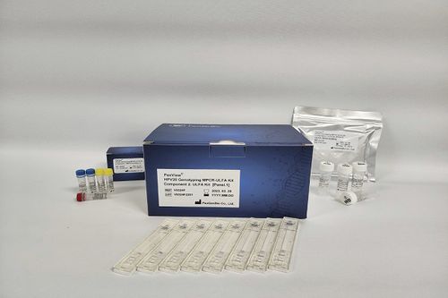 Testkit zur Genotypisierung - PaxView® 10/20/30 MPCR-ULFA Kit - PaxGenBio Co.,Ltd. - Gebärmutterhalskrebs / für HPV 33 / HPV