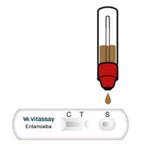 Entamoeba-Schnelltest - VITASSAY HEALTHCARE S.L. - für Infektionskrankheiten / Antigene / Fäkalien