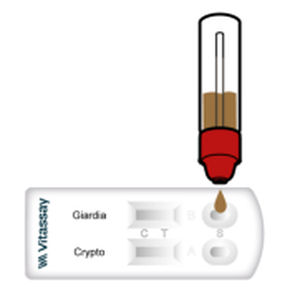 Schnelltest für Diarrhoe - VITASSAY HEALTHCARE S.L. - für Giardiasis / Antigene / Cryptosporidium