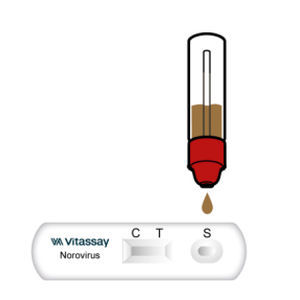 Norovirus-Schnelltest - VITASSAY HEALTHCARE S.L. - für Infektionskrankheiten / Antigene / für Kliniken