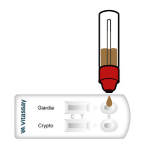 Schnelltest für Diarrhoe - VITASSAY HEALTHCARE S.L. - für Giardiasis / Antigene / Bakterien