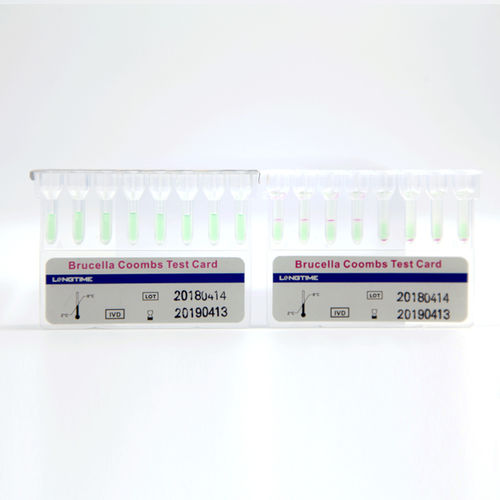 Testkit für Infektionskrankheiten - Hubei Longtime Biological Technology Co., Ltd. - Brucella / Serum / Kassetten
