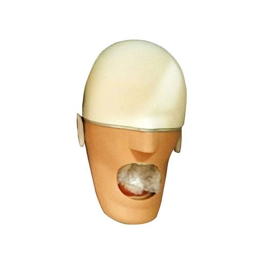 Anatomisches Modell / Gesicht -  UM-F01 - Tangshan UMG Medical Instrument - Dental / für die Ausbildung / zur Entwässerung