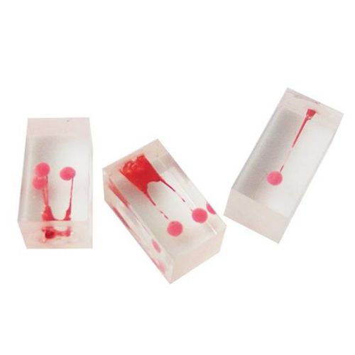 Anatomisches Wurzelkanalmodell - UM-LS6 - Tangshan UMG Medical Instrument - Dental / für die Ausbildung / transparent