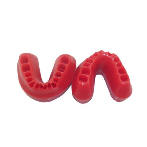 Gingivales anatomisches Modell - UM-S2A - Tangshan UMG Medical Instrument - Ausbildung