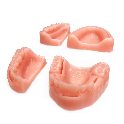 Haut anatomisches Modell - UM-U17 - Tangshan UMG Medical Instrument - für Zahnchirurgie / Ausbildung / Näh
