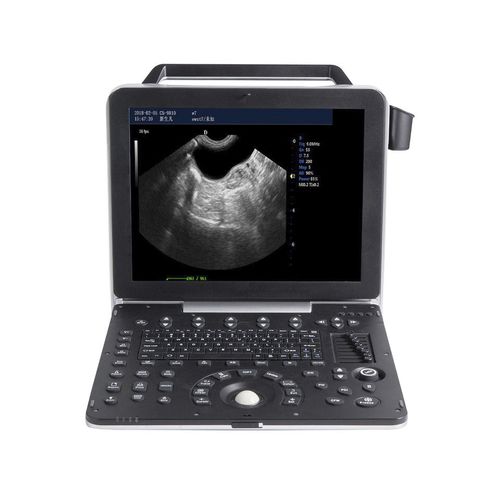 Tragbares Tierärztliches Ultraschallsystem - G8V - Beijing iTrason Technologies - Multifunktion / für Kleintiere / für Großtiere