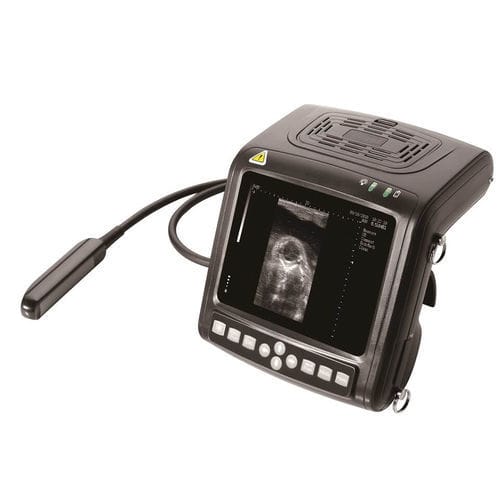 Tierärztliches Ultraschallsystem / Handgerät - 5200 - Beijing iTrason Technologies - Multifunktion / für Schweine / für Pferde