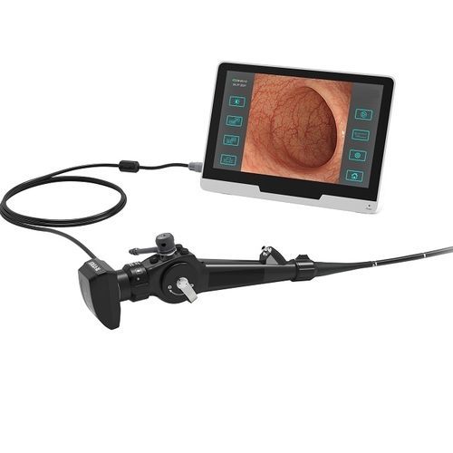 Veterinär-Bronchoskop / Video - EC120 - Beijing iTrason Technologies - für Kleintiere / für Großtiere / für Hunde