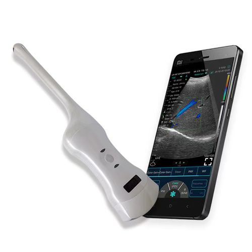 Ultraschall-Handgerät - C10RT - Beijing iTrason Technologies - für transvaginale Ultraschalluntersuchung / für transrektale Ultraschalluntersuchung / Schwarz-Weiß