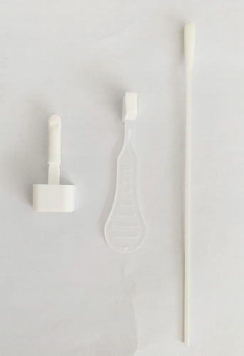 Tupfer für Speichelproben - BWD-C series - Changzhou Biowin Pharmaceutical Co., Ltd. - nicht-steril