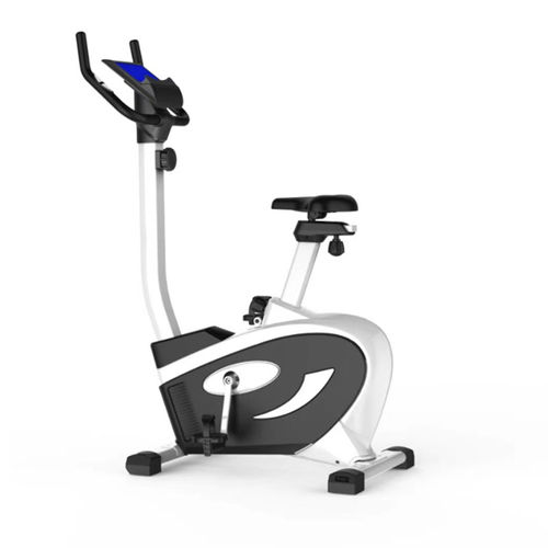 Heimtrainer - Changzhou KonDak Medical Rehabilitation Equipment