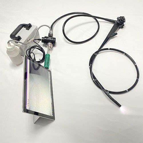 Veterinär-Gastroskop / Video - GBS-9 - Jiangsu Ruitian Medical Technology - mit integriertem Bildschirm
