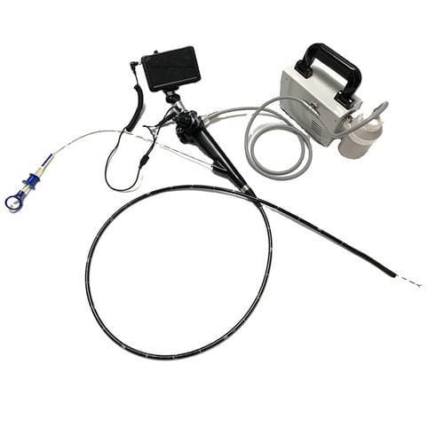 Veterinär-Gastroskop / Video - Jiangsu Ruitian Medical Technology - für Kleintiere