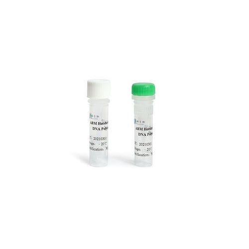 Enzyme-Reagenz - A0 series - Guangzhou Magigen Biotechnology Co. Ltd - DNA-Polymerase / Taq 1.0 DNA-Polymerase / Ribonuklease HII