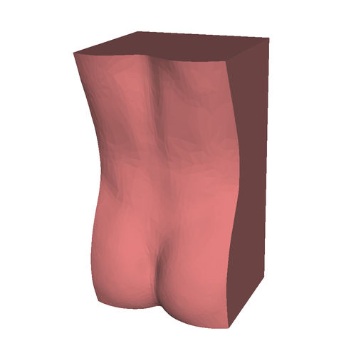 Anatomisches Modell / LWS - HUM-L - manikinmate - für Punktionen / für Injektionen / für Ultraschalluntersuchungen