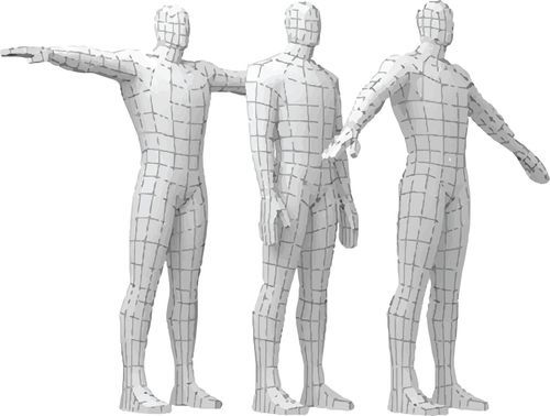 Anatomisches Modell / LWS - HUM series - manikinmate - Schulter / Hüfte / Knie