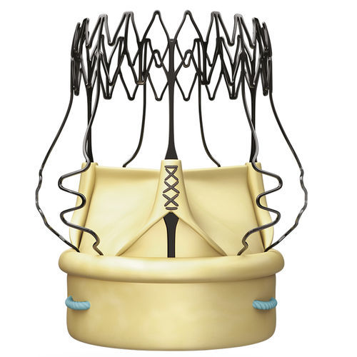Biologischer Aortenklappenersatz / Aorta - PERCEVAL™ - Corcym - aus Rindergewebe / Nitinol / nahtlos