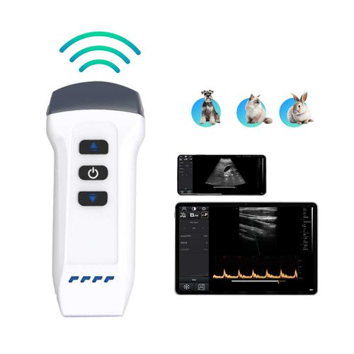 Tierärztliches Ultraschallsystem / Handgerät - DW-X1 VET - Dawei Medical - Multifunktion / für Kleintiere / Farbdoppler