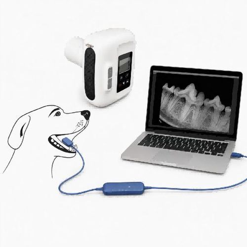 Digitales Veterinär-Röntgensystem - Dawei Medical - intraoral