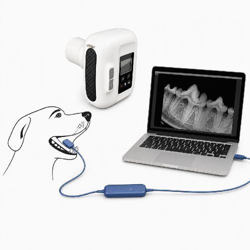 Digitales Veterinär-Röntgensystem - Dawei Medical - intraoral