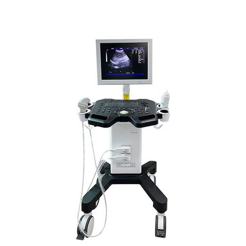 Ultraschallgerät / tragbar, mit Transportwagen - DW-750 - Dawei Medical - für Multifunktions-Ultraschall / für Ultraschalldiagnostik in Gynäkologie und Geburtshilfe / für Ultraschalluntersuchung von Muskeln und Skelett