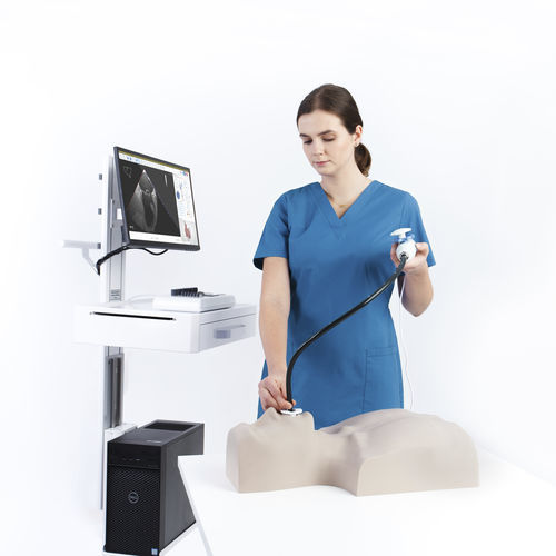 Trainingssimulator - MrTEEmothy® TEE  - Medical Simulation Technologies - für Echokardiographie / für Doppler-Sonographie / für transösophageale Echokardiographie