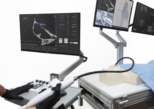 Simulator für Punktionen - Trinity - Medical Simulation Technologies - Ausbildung / Anatomie / Arbeitsstation