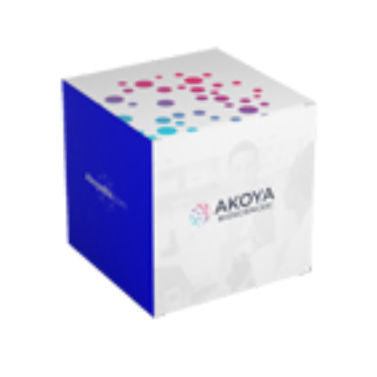 Reagenzkit / als Lösung - 7000009 - Akoya Biosciences - Antikörper / für Molekularbiologie
