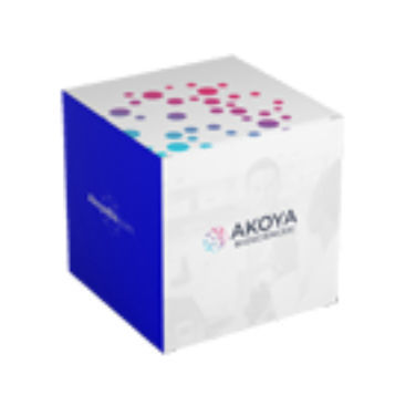 Pufferlösungs-Reagenzkit - 7000019 - Akoya Biosciences - Immunohistochimie