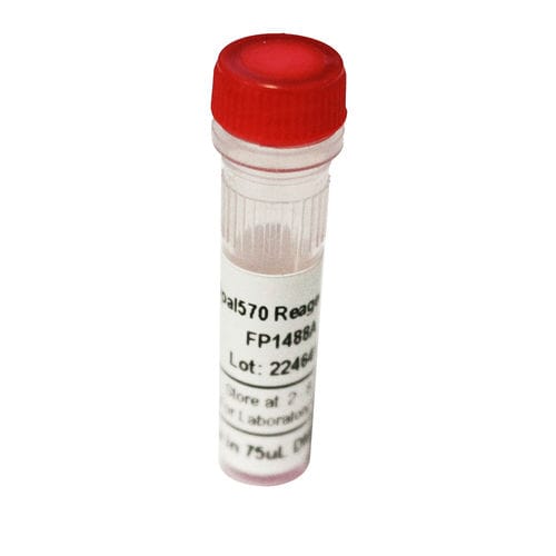 Reagenzkit / als Lösung - OPAL 570 - Akoya Biosciences - Antikörper / Farbstoff / Gewebe